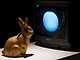 출처: 출처 : 백남준아트센터, <달에 사는 토끼> 1996