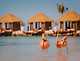 출처: Renaissance Aruba Resort