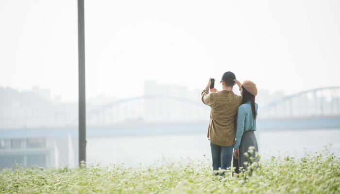 "한강 서래섬에서 메밀꽃 향기에 흠뻑 취하세요"