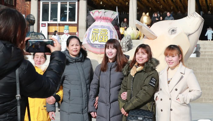 동화사 찾은 외국인, 복돼지와 함께 '찰칵'