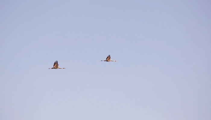 [포토친구] 희망 날다