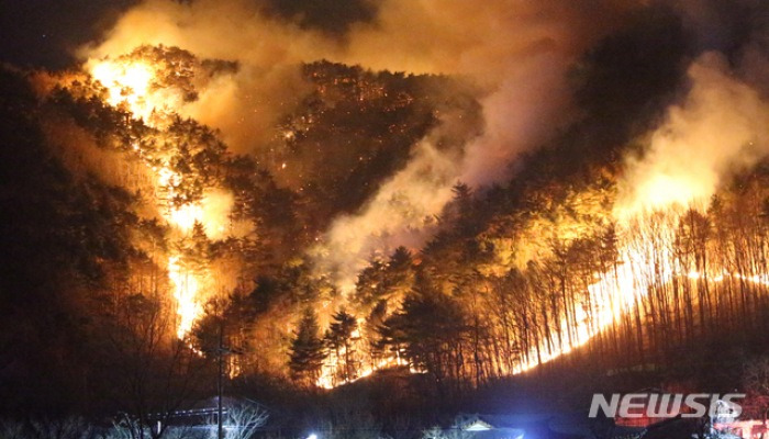 강원양양 산불 밤새 번져 큰 피해 우려