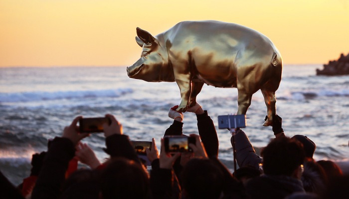 실물모형 황금돼지