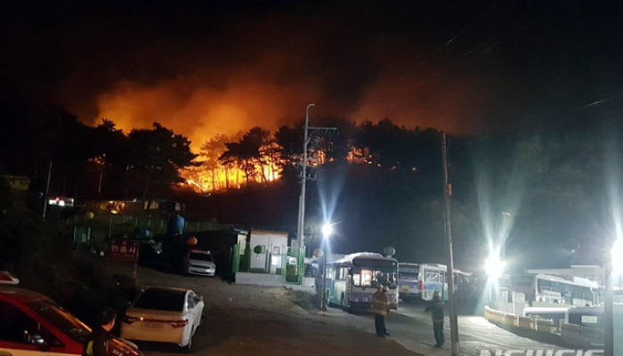 부산 운봉산 산불 또다시 재발화