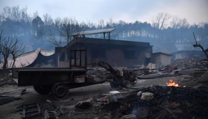 화재로 잿더민 된 속초 장천마을 주택