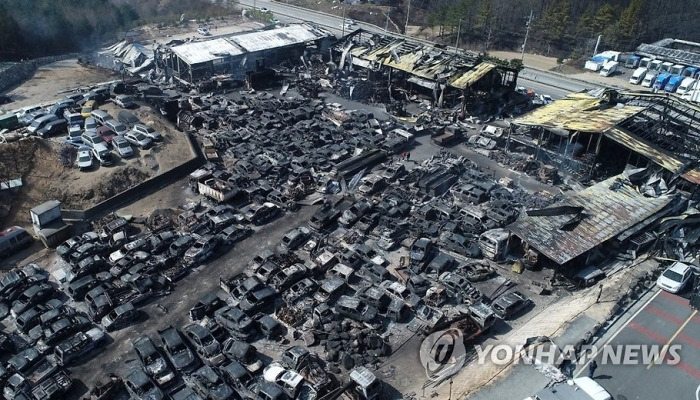 화마가 지나간 자리