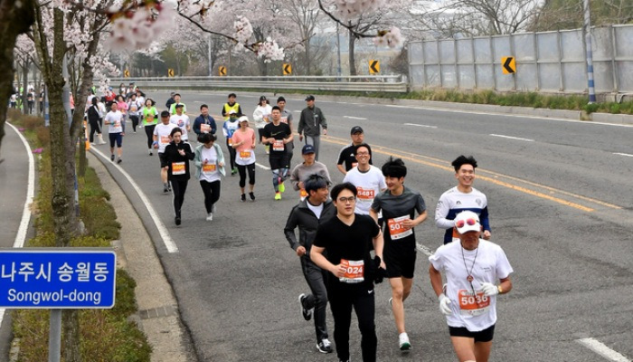 벚꽃 마라톤