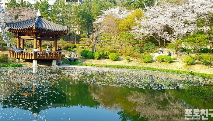 [포토친구] 봄 향기 가득한 날