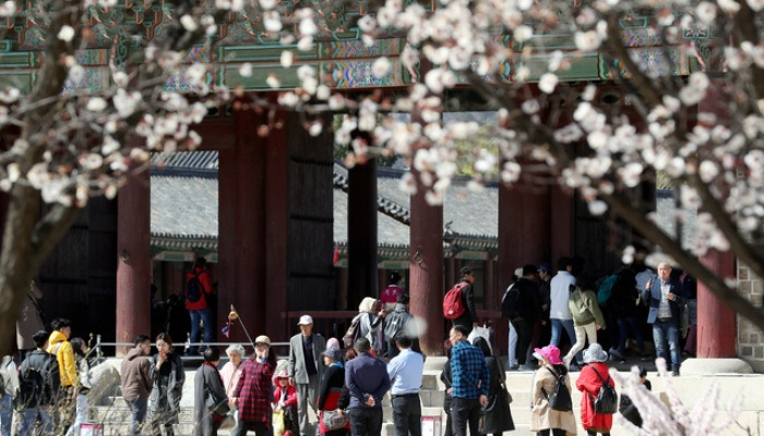 경복궁의 봄 풍경