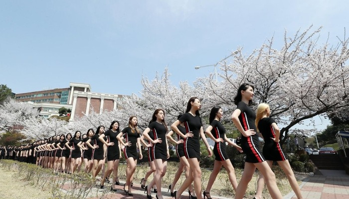 벚꽃 아래 워킹 수업