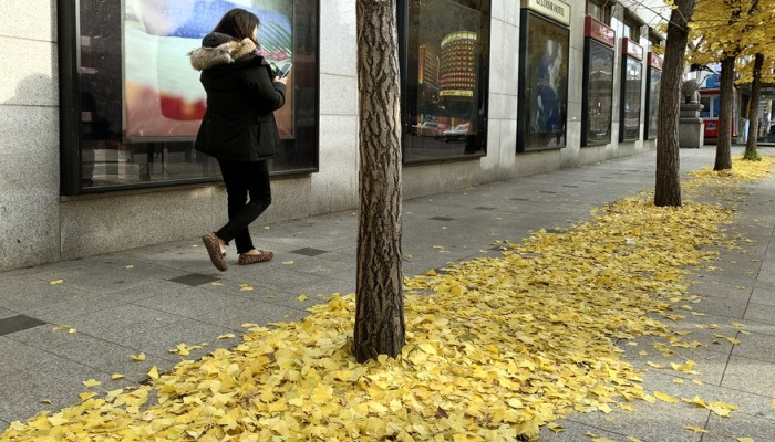 [한장의다큐] 어느 미화원의 쓰레질