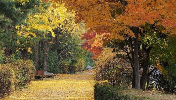 [포토친구] 공원의 가을