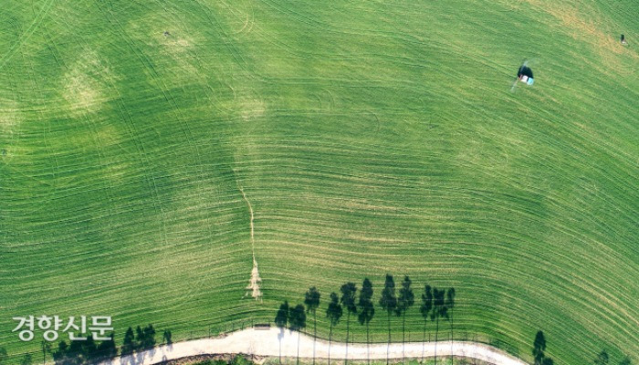 청보리밭 사잇길로 '봄이 오는 소리' [포토뉴스]