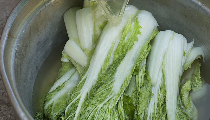 서해안 바다 풍경과 토속음식