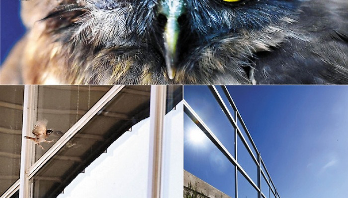 <역사의 증인, 현장의 사진기자>
제56회 한국보도사진전