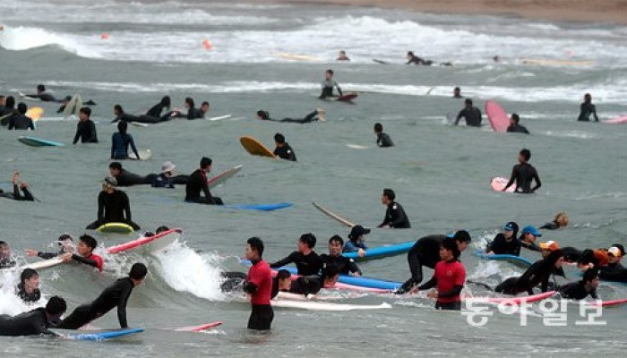 바람 불어 좋은 날, 파도 타니 신난 날