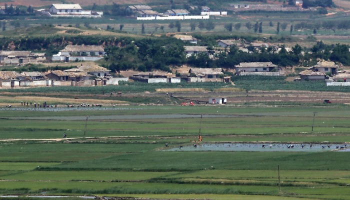 모내기 하는 북한 주민들 [경향포토]