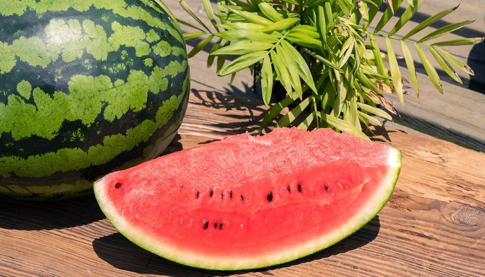 이번 여름 휴가로 한옥은 어때요?