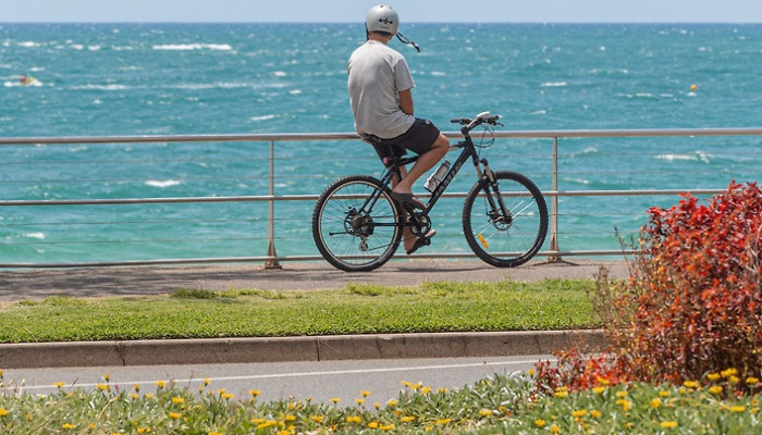 사진으로 담은 호주 여행의 설렘