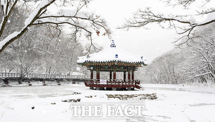 [TF사진관]정읍 내장산, 새하얀 눈꽃 '절경'