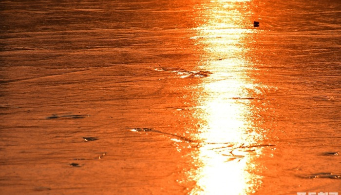 [포토친구] 황금길 걷는 새해 되세요