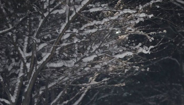 일출 대신 설경