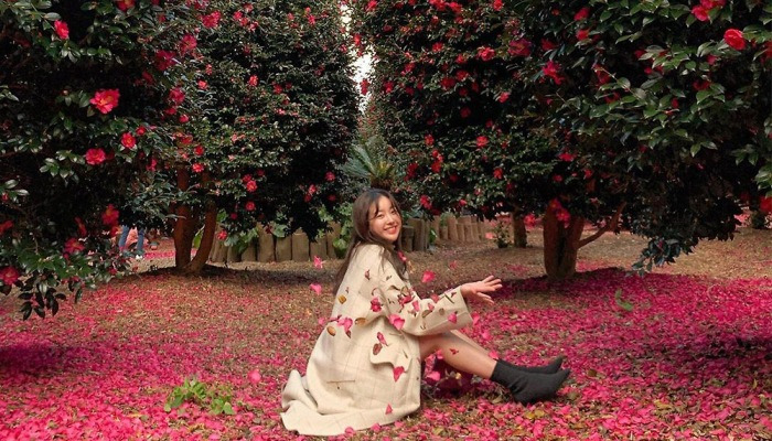 마지막 겨울을 만끽할 수 있는 관광지