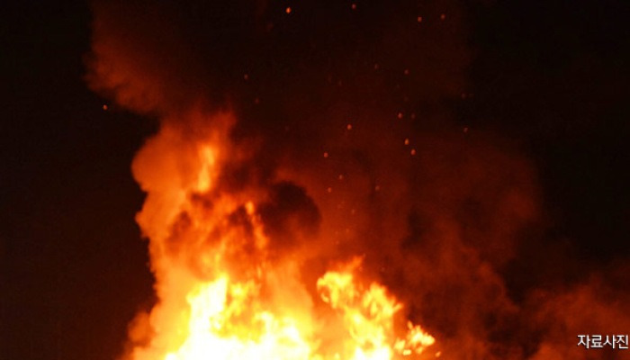 서울 서초구 화훼단지 비닐하우스 불..인명피해 없어