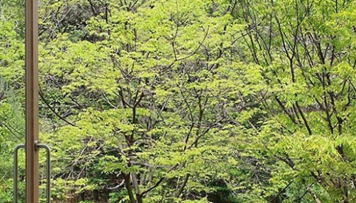 뷰 좋은 곳을 찾고 있다면?