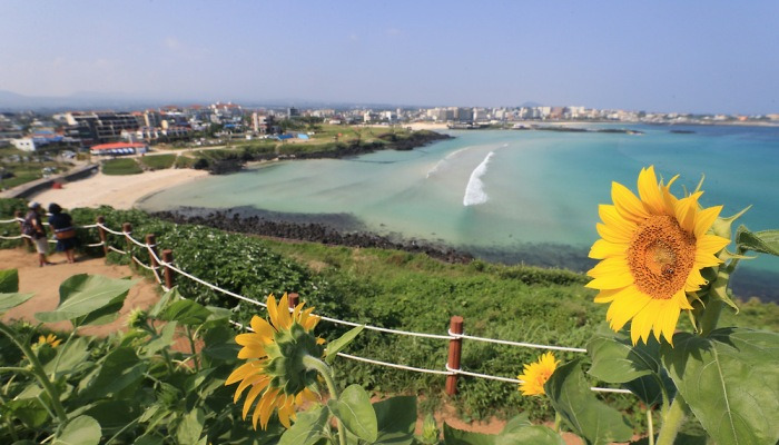 사진기자가 기록한 2020 제주