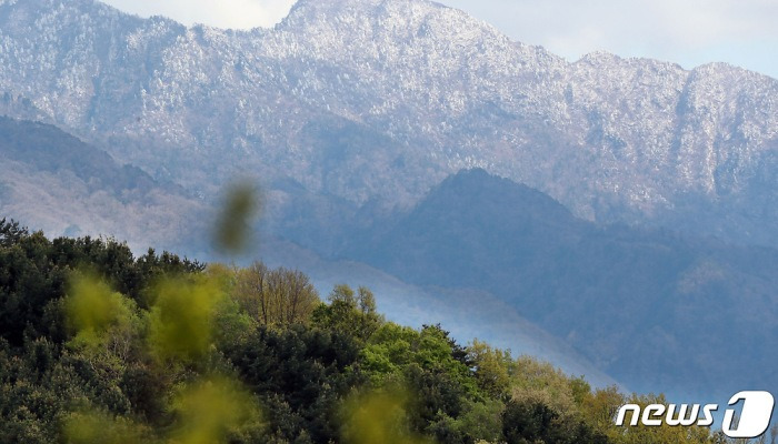 눈부신 지리산 눈꽃