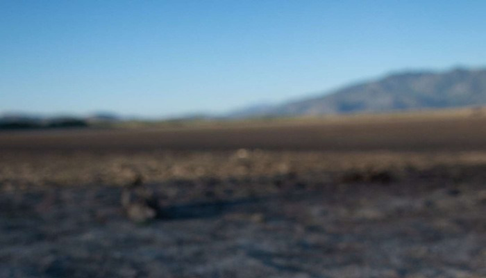 극심한 가뭄에 네바다주 호수의 죽은 물고기